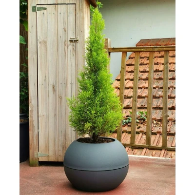 Afbeelding van RIVIERA bol bloempot D40 grijs