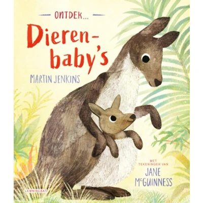 Afbeelding van Ontdek ... dierenbaby&quot;;s (Hardback)