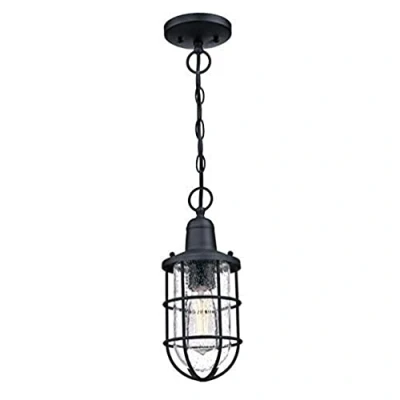 Afbeelding van Westinghouse Lighting 6334840 Eenvlamige hanglamp Crestview voor buiten, uitvoering in gestructureerd zwart met helder antiek glas