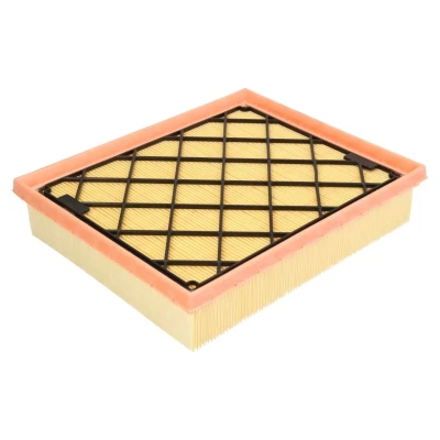 Afbeelding van Luchtfilter MANN FILTER C 25 008/1