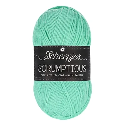 Afbeelding van Scheepjes Scrumptious 100gram 340 Mint Whoopie Pie