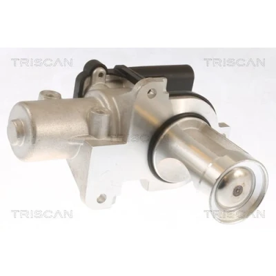 Afbeelding van Triscan EGR klep 8813 29101