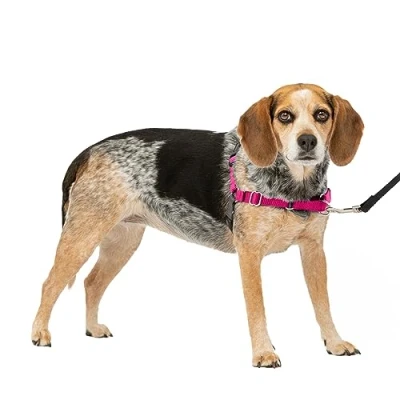 Afbeelding van PetSafe easy walk hondenharnas, Small/Medium, Himbeere/Grau