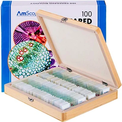Afbeelding van AmScope PS100E Biologie microscoop objectdragerset E voor thuis, 100 stuks