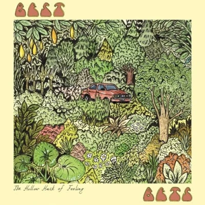Afbeelding van Best Bets The Hollow Husk Of Feeling (LP) (Coloured Vinyl)