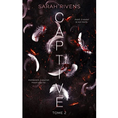 Afbeelding van Captive tome 2