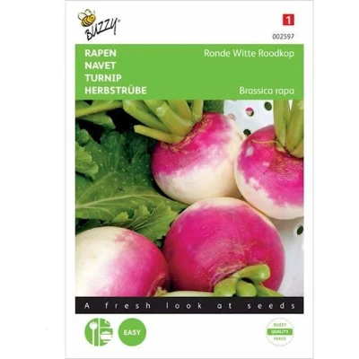 Afbeelding van Raap Ronde Witte Roodkop, de Nancy