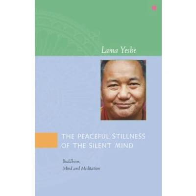 Afbeelding van the Peaceful Stillness of Silent Mind: Buddhism, Mind and Meditation