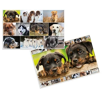 Afbeelding van HERMA 19378 Bureauonderlegger, dieren en honden, afwisbaar, kartonnen onderlegger voor kinderen, 55 x 35 cm, dubbelzijdig motief, tafelonderlegger meisjes jongens