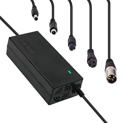 Afbeelding van 42 V 2 A oplader voor e bike, scooter, Xiaomi V, Li Ion accu, 36