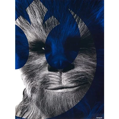 Afbeelding van Grupo Erik Star Wars Episode IX Chewbacca Kunstdruk 30x40cm