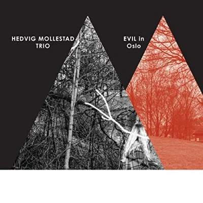 Afbeelding van Hedvig Trio Mollestad Evil In Oslo (2 LPs)