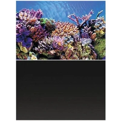 Afbeelding van Superfish Deco Poster A3 100X49 Cm