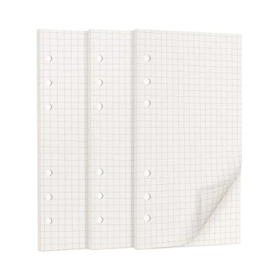 Afbeelding van OVISEEN Vellen A6 papier geruit, 6 gaten navulling navulvellen losse notitiepapier navulpapier voor ringbinders notitieboek, dagboek, schets, schilderwerk 5 mm geruit
