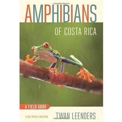 Afbeelding van Amphibians of Costa Rica: A Field Guide