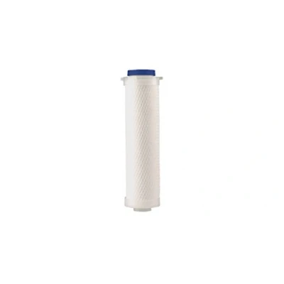 Afbeelding van Dafi DAFFCS cartridge, polypropyleen, filtratie, wit