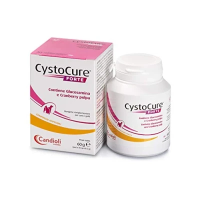 Afbeelding van Candioli CYSTOCURE Forte 30 tabletten (NDR)