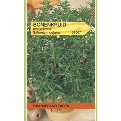 Afbeelding van Bonenkruid, overblijvend