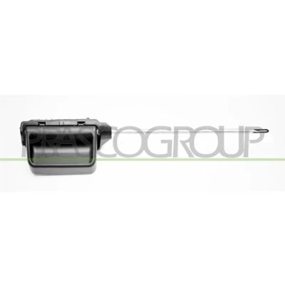 Afbeelding van Handgreep, interieur PRASCO VG9178302
