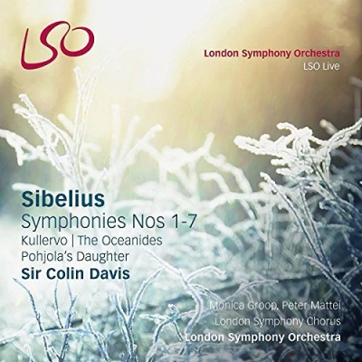 Afbeelding van London Symphony Orchestra, Sir Colin Davis Sibelius: Symphonies (5 CD)