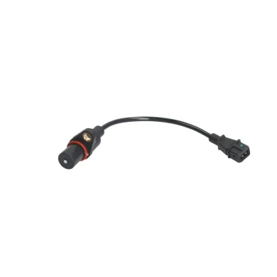 Afbeelding van Delphi Diesel Krukas positiesensor SS10958