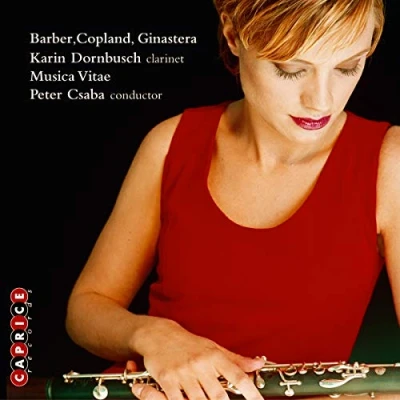 Afbeelding van Karin Dornbusch, Musica Vitae, Peter Csaba Two Pieces For String Orchestra (CD)