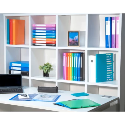 Afbeelding van Boite de classement exabox dos 25mm polypropylene 7/10e opaque