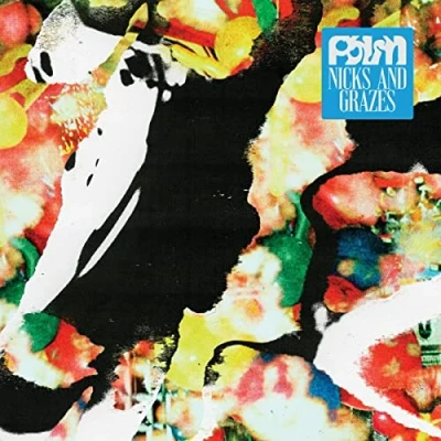 Afbeelding van Palm Nicks And Grazes (CD)