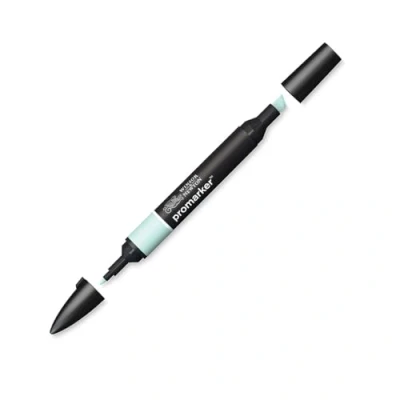 Afbeelding van Winsor and Newton Promarker Pastel Green G829