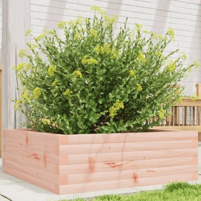 Afbeelding van Plantenbak 70x70x23 cm massief douglashout