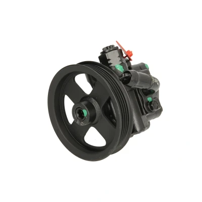 Afbeelding van Lauber Servopomp 55.4310
