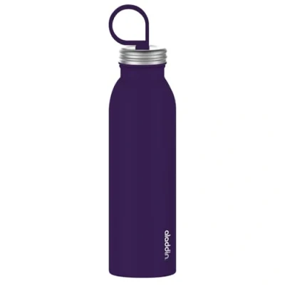 Afbeelding van Aladdin Thermavac Water Bottle Chilled 550 ml