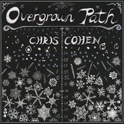 Afbeelding van Chris Cohen Overgrown Path