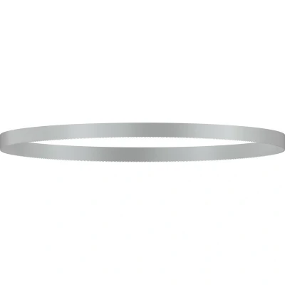 Afbeelding van Bosch 2608649000 / CB 2818 BIM Bandzaagblad 733 x 12,7 18TPI (2st)