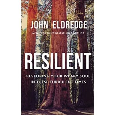 Afbeelding van Resilient International Edition: Restoring Your Weary Soul in These Turbulent Times