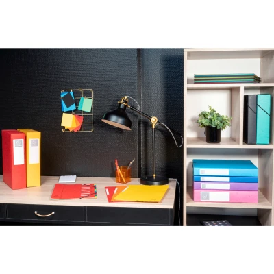 Afbeelding van Exacompta Ref. 50833E 1 opbergbox met Exabox elastieken van glanzend karton 600g/m2 rugzijde 8 cm afmetingen 25 x 33 voor A4 documenten groen gemonteerd geleverd