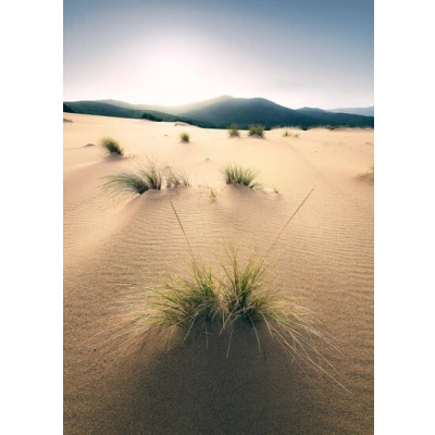 Afbeelding van Komar Vliesbehang Vivid Dunes (4 stuks)