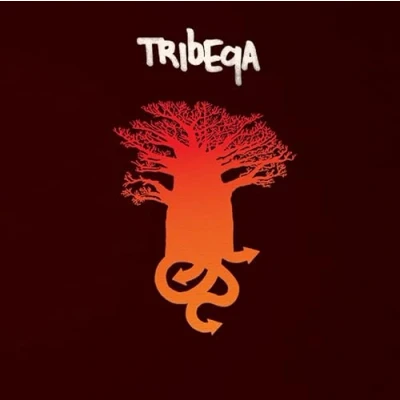 Afbeelding van Tribeqa (2 LP)