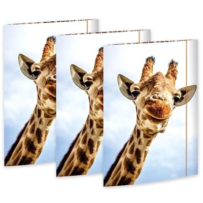 Afbeelding van RNK 45359 3 Tekenmap Safari 310 x 440 mm, stuks, DIN A3, met elastische sluiting