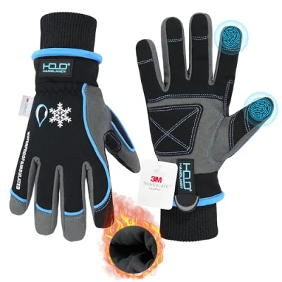 Afbeelding van Waterdichte geïsoleerde werkhandschoenen,Thermische winterhandschoenen voor mannen en vrouwen, aanraakscherm, warme ski snowboardhandschoenen koud weer (blauw, L)
