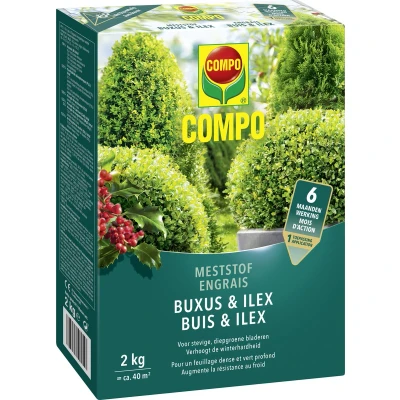Afbeelding van COMPO Meststof Buxus &amp; Ilex directe en lange werking 6 maanden voor een stevige groei diepgroene bladeren doos 2 kg