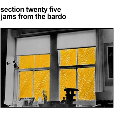 Afbeelding van Section 25 Jams From The Bardo (CD)