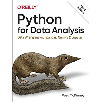 Afbeelding van Python for Data Analysis: Wrangling with Pandas, NumPy, and Jupyter