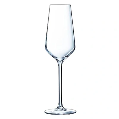 Afbeelding van Vlak Glas voor champagne en cava Chef &amp; Sommelier Distinction 6 Stuks (230 ml)