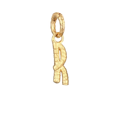 Afbeelding van Elli Organic Letter R Hanger goldcoloured, Dames, Maat: One Size, Gold coloured