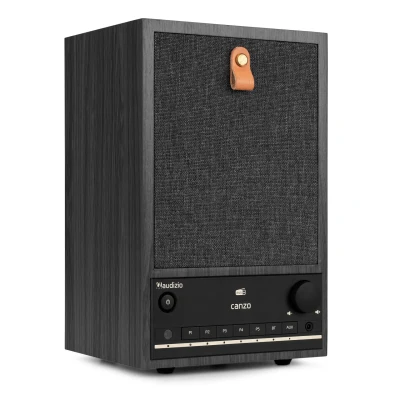Afbeelding van Audizio Canzo Internetradio WiFi radio boekenplank model Met DAB+,