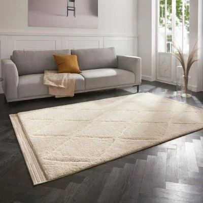 Afbeelding van Vloerkleed Colin 160x230cm Beige Modern 123vloerkleed.nl is de online webshop voor vloerkleden en woonaccessoires.