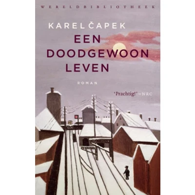 Afbeelding van Een doodgewoon leven (Paperback)