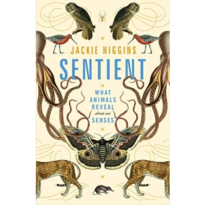 Afbeelding van Sentient: What Animals Reveal About Our Senses