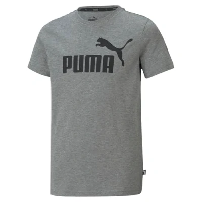 Afbeelding van Puma T shirt grijs/zwart
